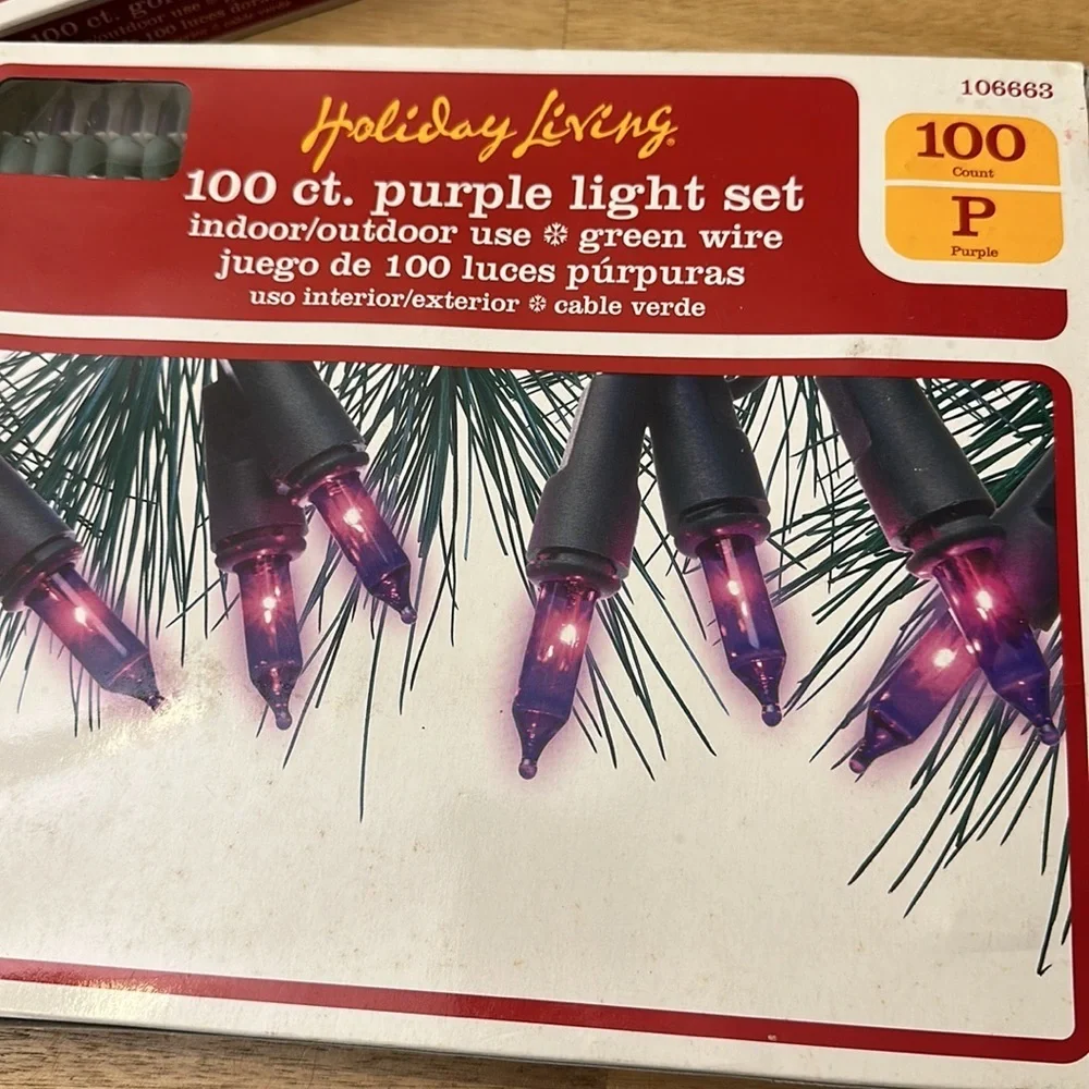 HOLIDAY LIVING 100ct. Light set